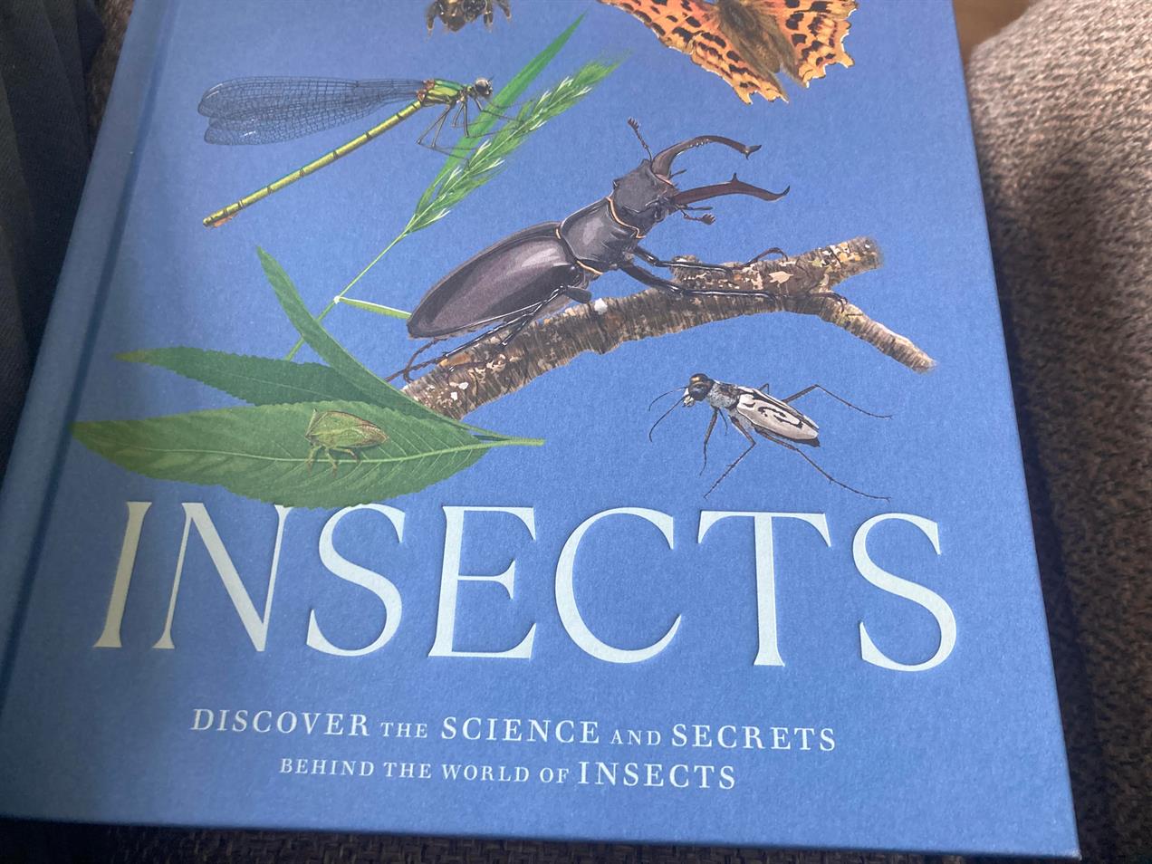 Insects